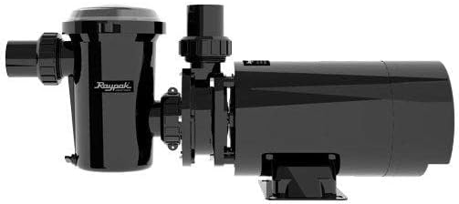 Raypak Protege Pool Pump – RPAGP100
