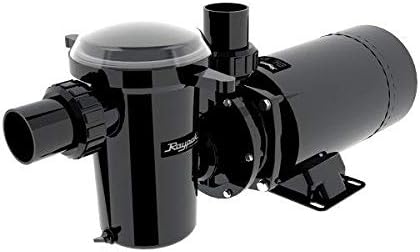 Raypak Protege Pool Pump – RPAGP100