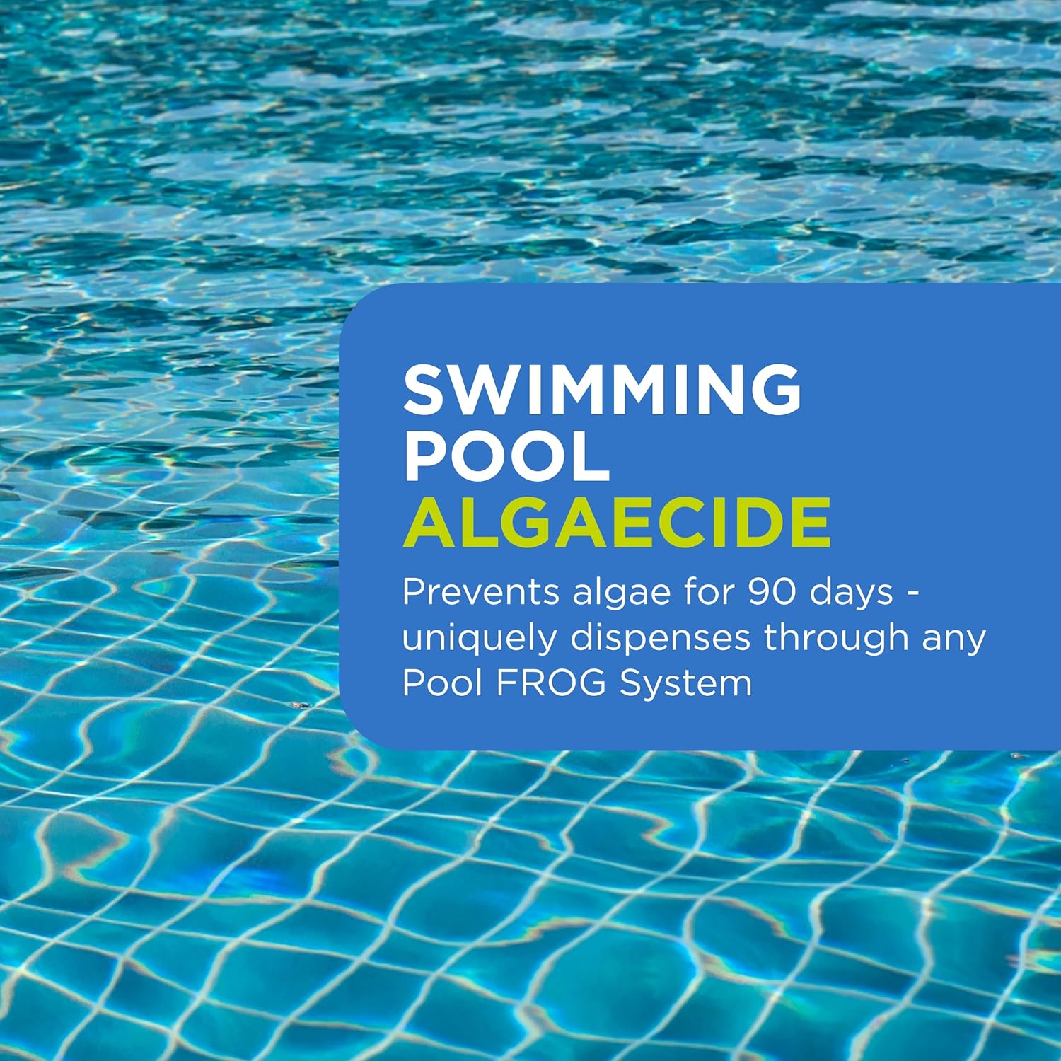 FROG BAM 90-Day Algae Preventative - Pool Winterizer Chemical and Algaecide Treatment for Preventing & Removing Algae - Compatible with All FROG Pool Products