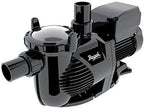 Raypak Protege Pool Pump – RPVSP1 – Quiet